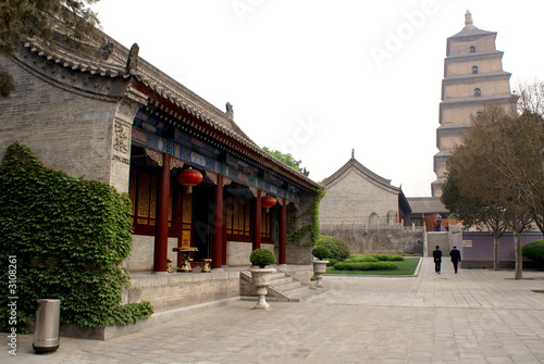 wild goose pagoda