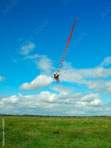 chineese kite