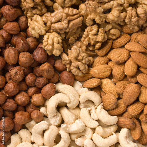 different  nuts (almons, cashews, walnuts and filb photo