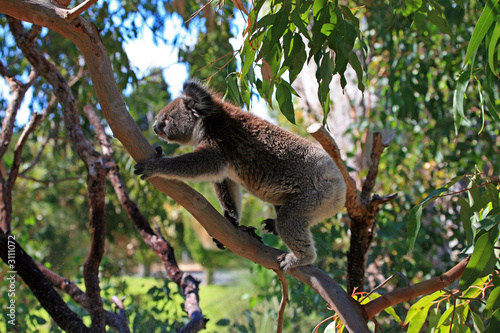 australien_07_0246
