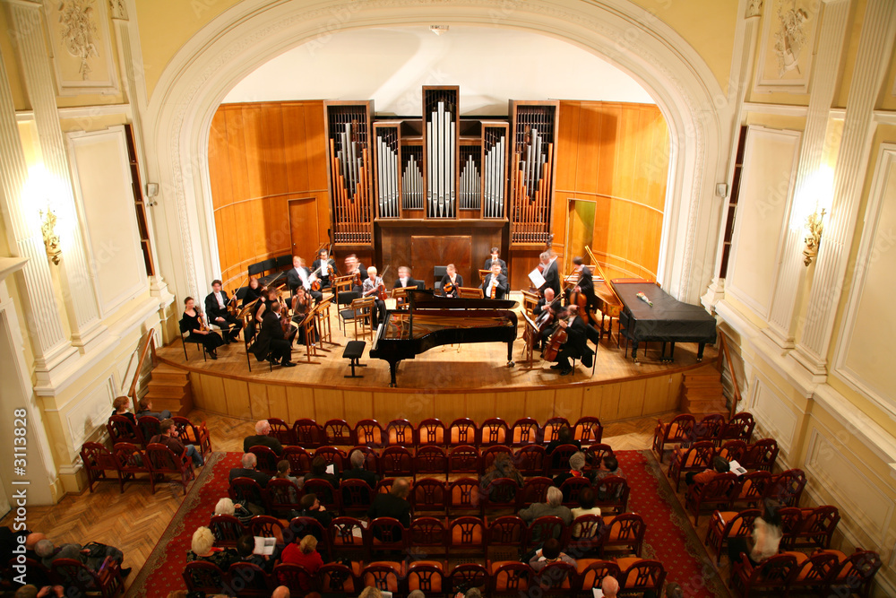 Obraz premium symphony