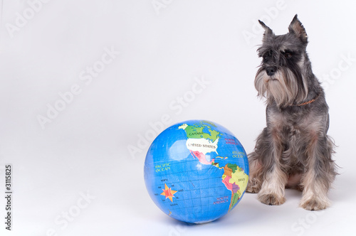 dog and the globe