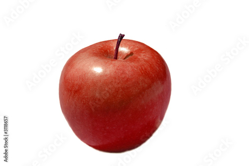 pomme rouge photo