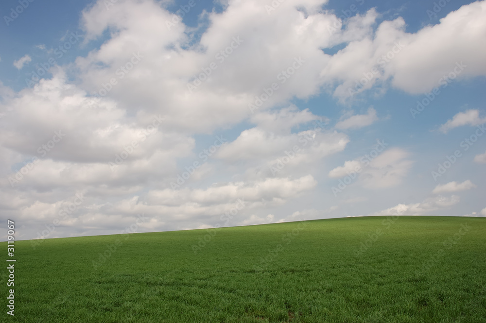 sky and grass sky and grass