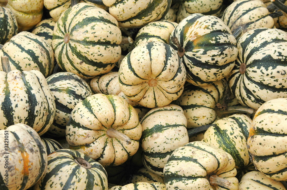 colorful gourds