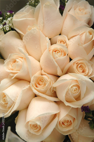 white wedding roses