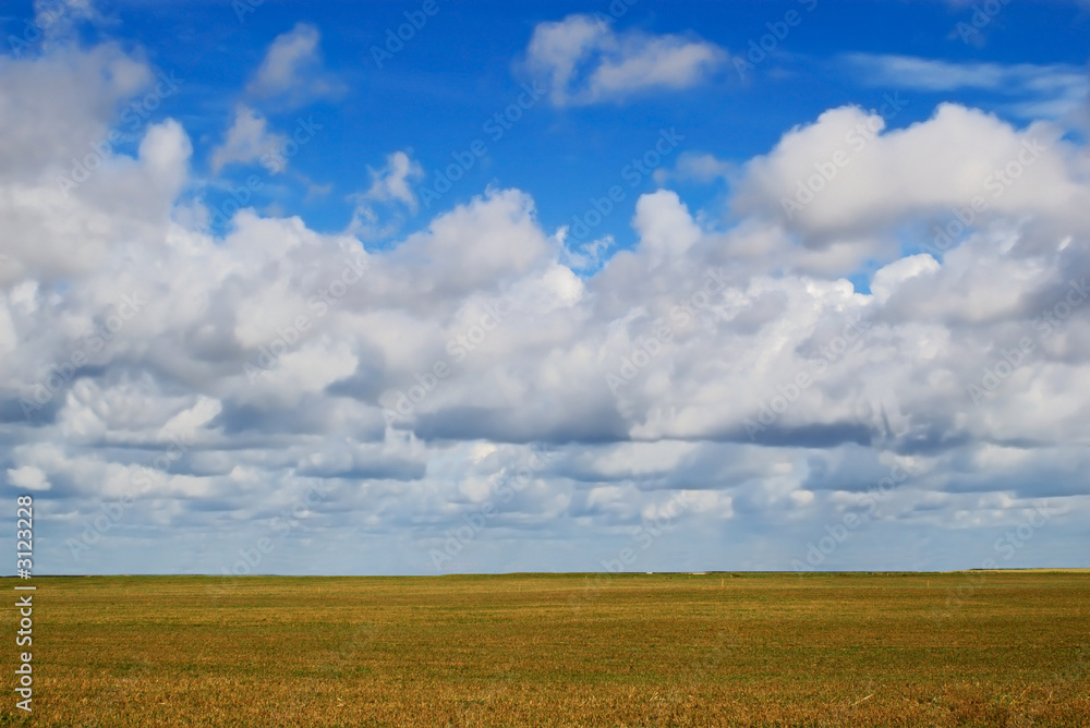 cloud over meadow