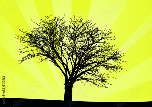 sunrise vector tree © drx
