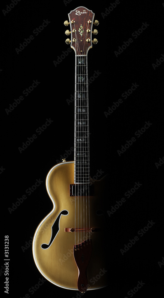 Naklejka premium jazz guitar_02