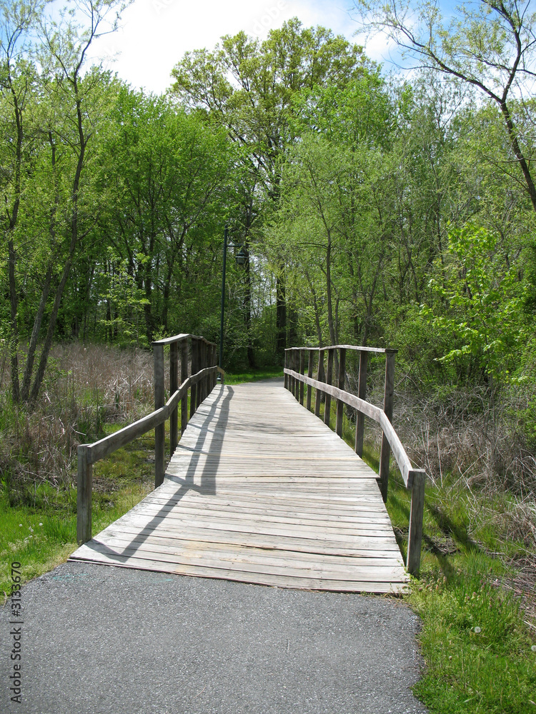 Obraz premium wood bridge