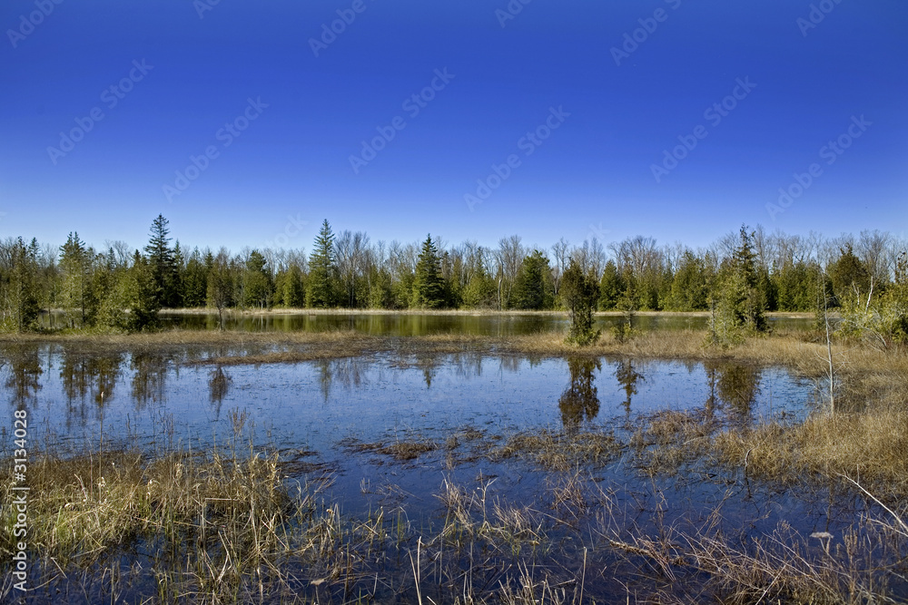beautiful lanscape beautiful lanscape