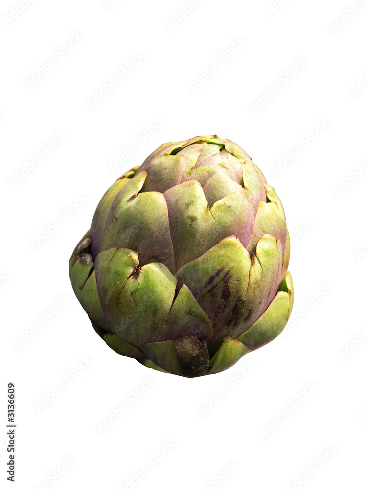 Obraz premium artichaud