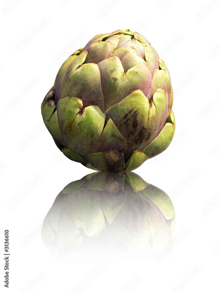 Obraz premium artichaud reflet