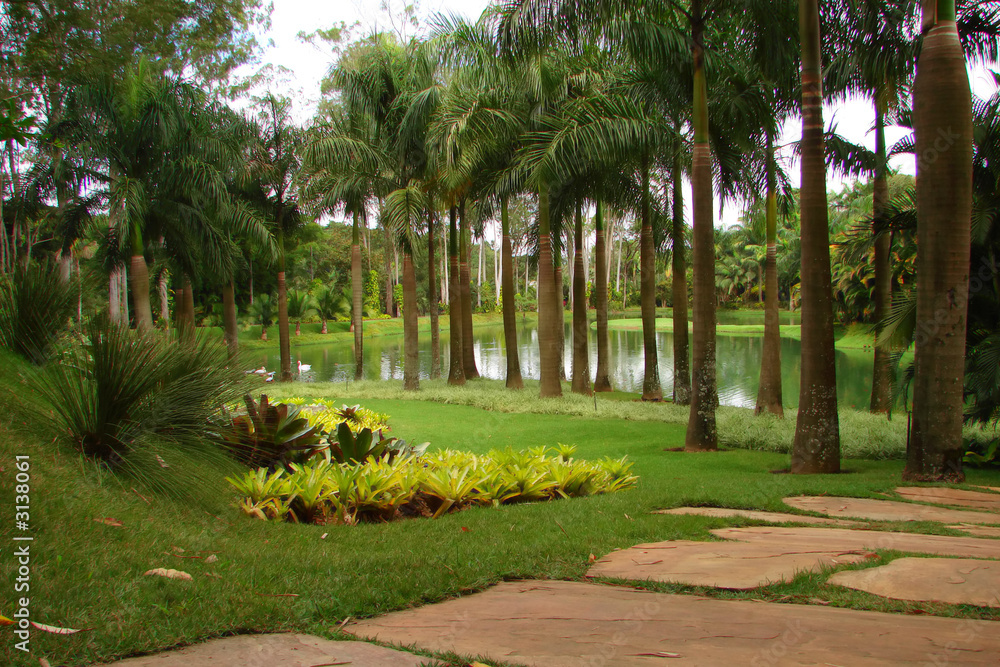 Fototapeta premium palms by a lake