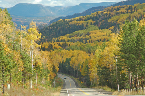 foret canadienne en automne