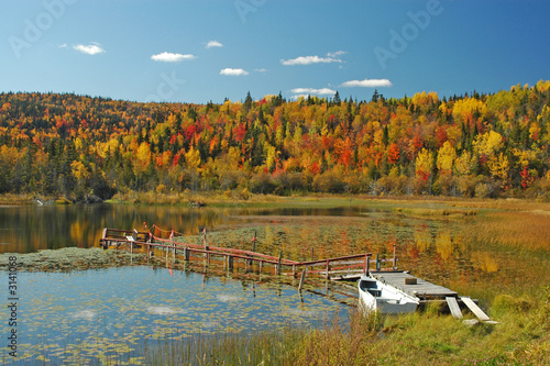 paysage d'automne