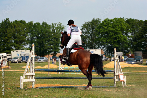 Fotografija cheval equitation