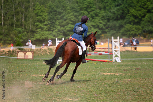 cheval equitation Fototapeta