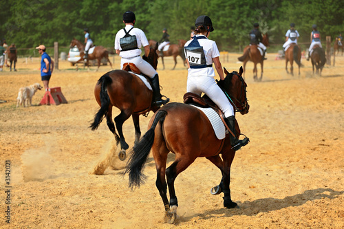 Slika na platnu entrainement equitation