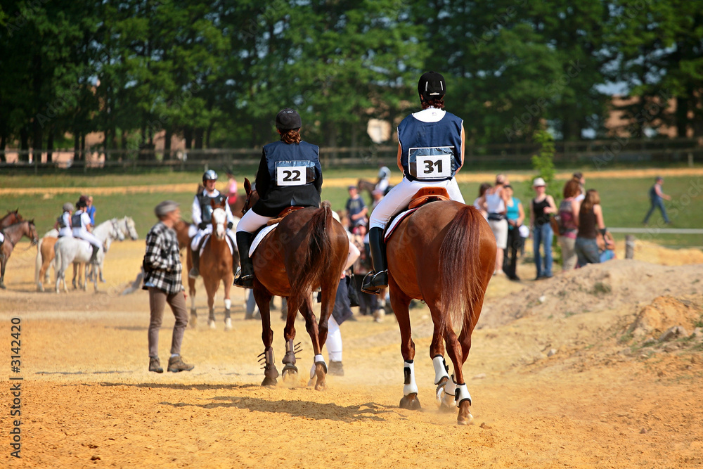 chevaux en compétition chevaux en compétition