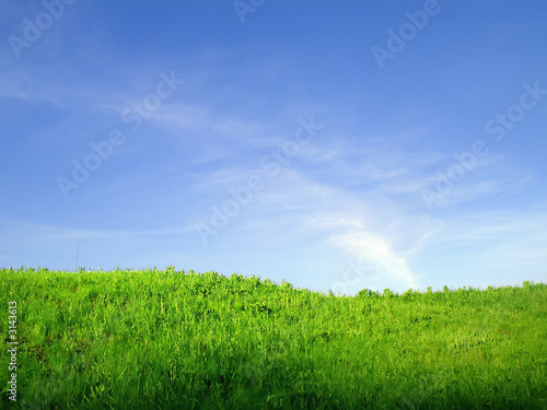 green grass and blue sky © KeeT