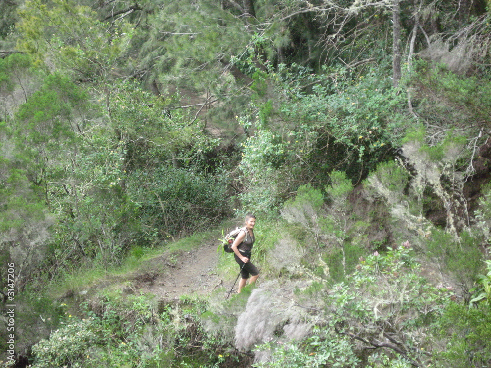 randonnée la réunion randonnée la réunion