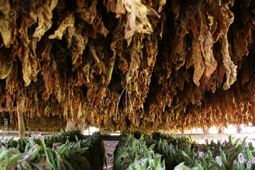 intérieur d'un séchoir à tabac