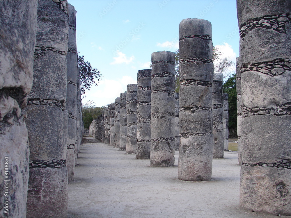 1000 colonnes