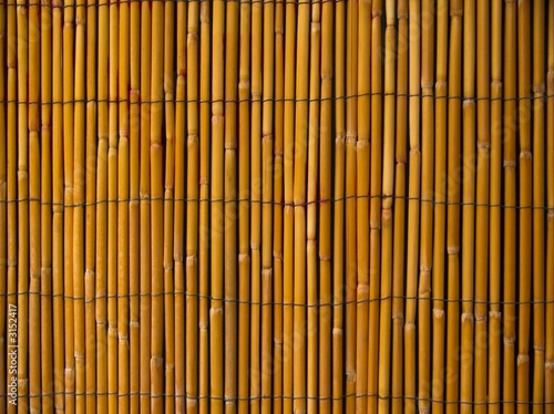 Fototapeta Naklejka Na Ścianę i Meble -  bambus