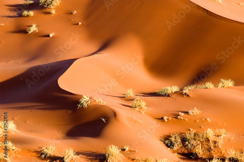 red sand dune