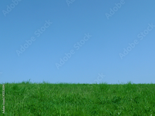 sky and green