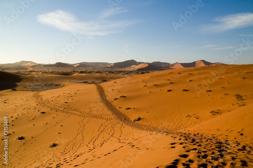 track in the desert