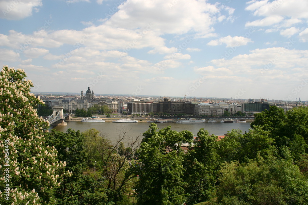 Obraz premium Budapest View