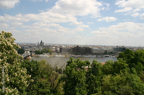 Budapest View