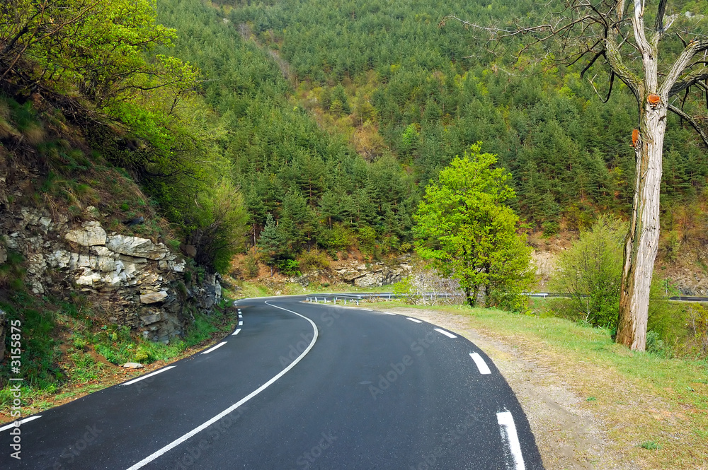 Fototapeta premium mountain road