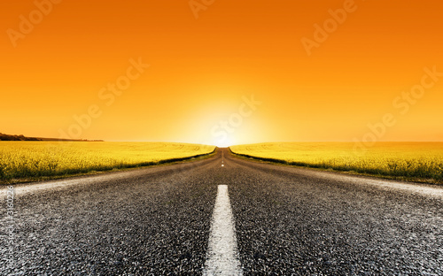 canola road sunset photo