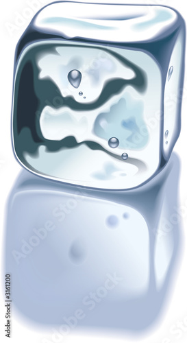 ice cube