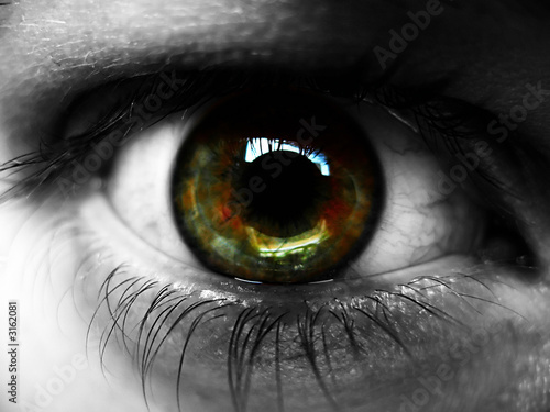 eye photo