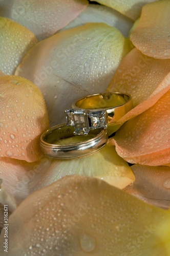 two wedding rings on rose petals
