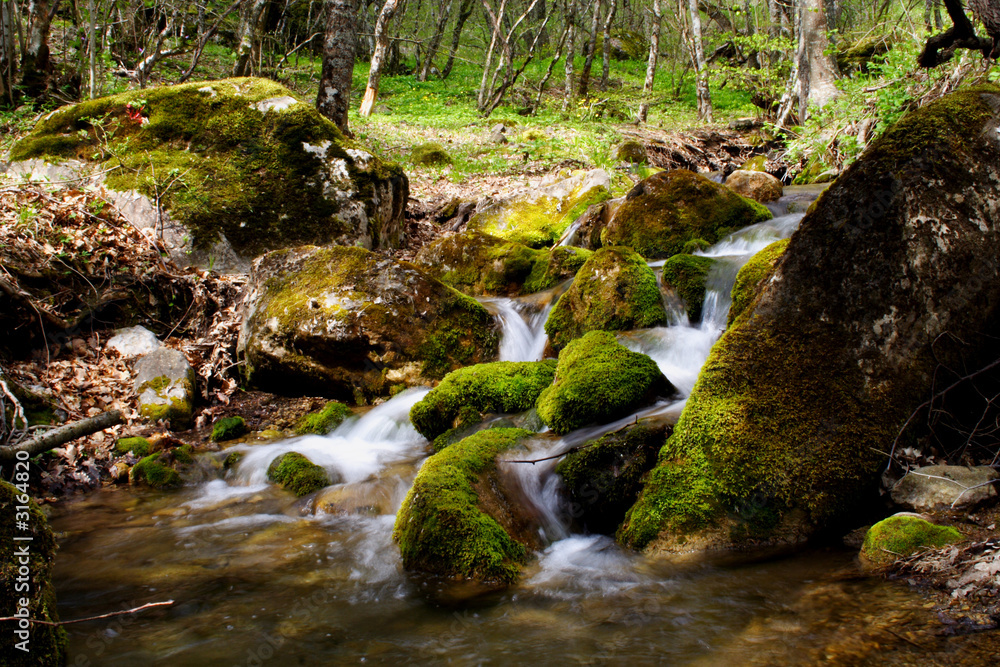 Obraz premium forest waterfall