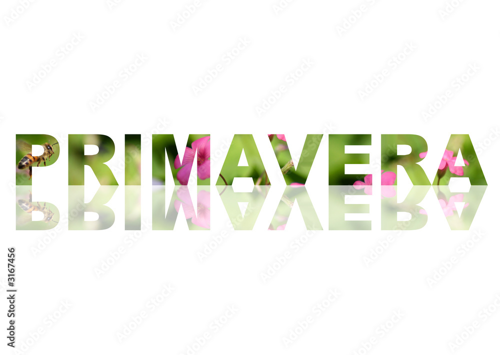 primavera primavera