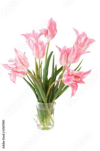 Wallpaper Mural bouquet of tulips Torontodigital.ca