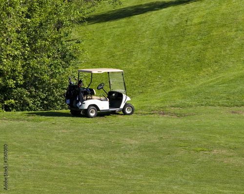 golf cart © robert mobley