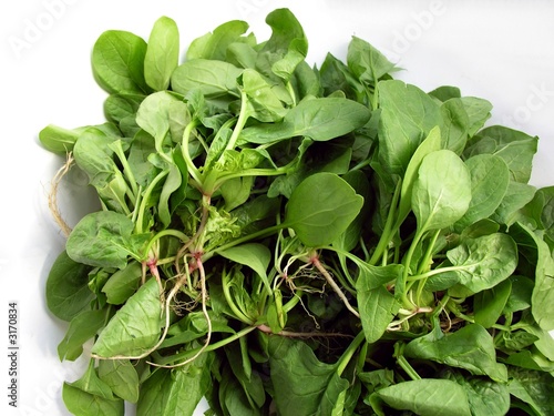 green spinach