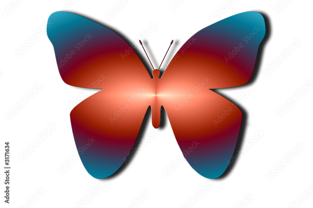 papillon fond blanc papillon fond blanc
