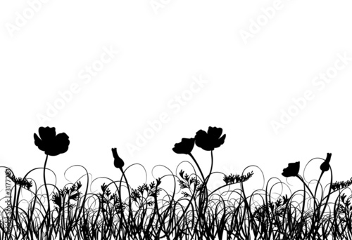 Fototapeta Naklejka Na Ścianę i Meble -  grass and poppy