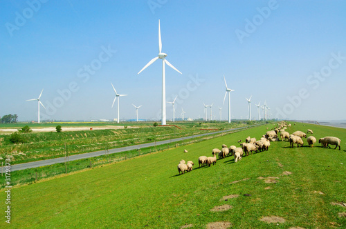 windkraftanlagen an der küste