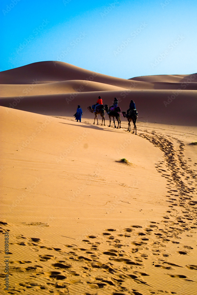 camel trekking morocco