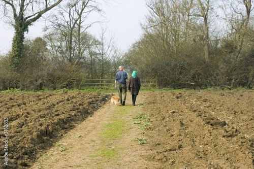 walking the dogs