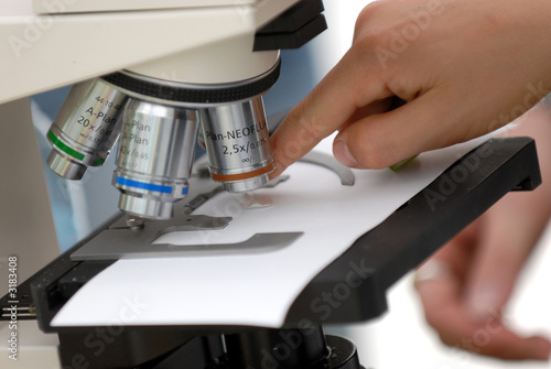 microscope photo